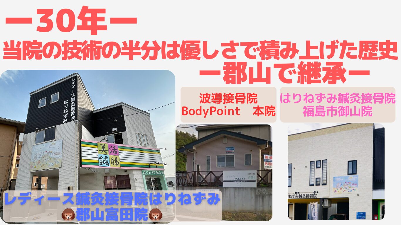 レディース鍼灸接骨院はりねずみ郡山富田院
